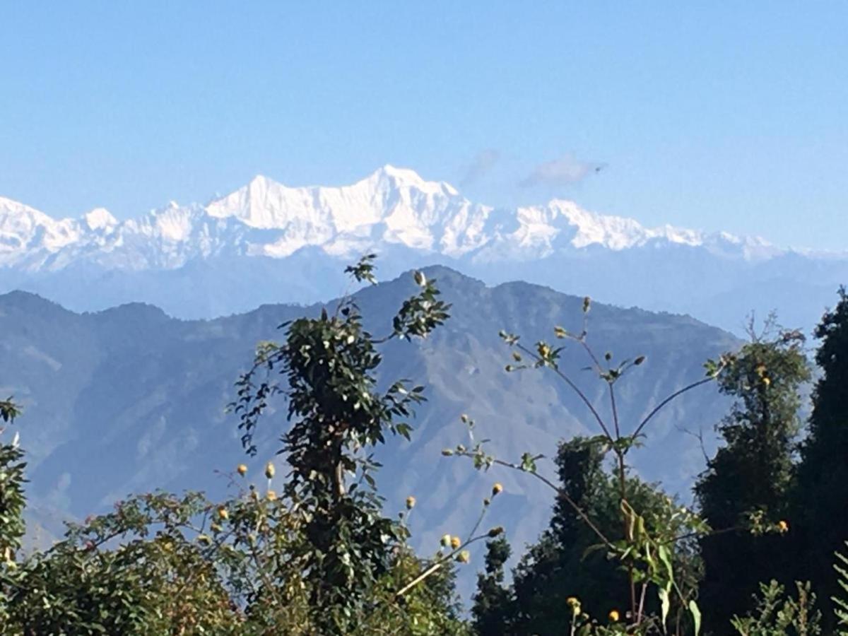 La Riqueza Dhanolti View # Near To Eco Park & Surkanda Devi Temple # Mountain View Rooms With Balcony # Big Parking # Customer Favourite Hotel Dhanaulti Eksteriør billede