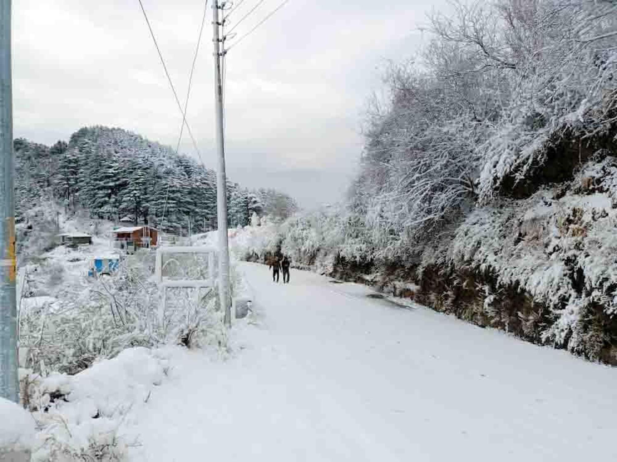 La Riqueza Dhanolti View # Near To Eco Park & Surkanda Devi Temple # Mountain View Rooms With Balcony # Big Parking # Customer Favourite Hotel Dhanaulti Eksteriør billede